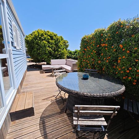 Casa Azul-Tiny House With Fantastic View, Big Outdoor Space And Pool Silves Eksteriør billede
