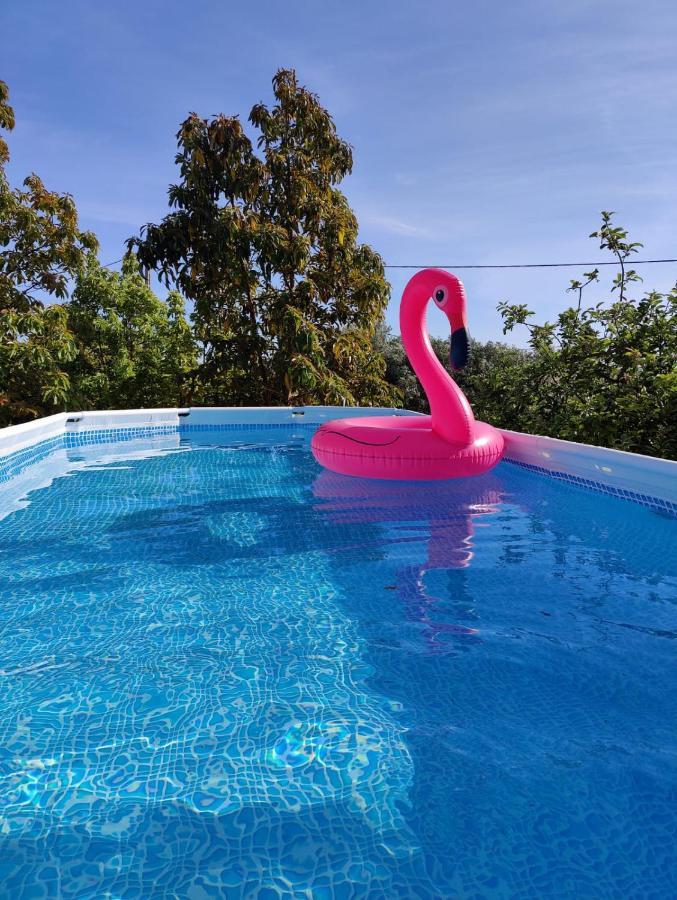 Casa Azul-Tiny House With Fantastic View, Big Outdoor Space And Pool Silves Eksteriør billede